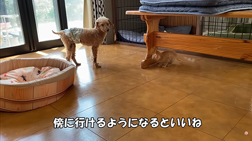 傍にいけるようになると