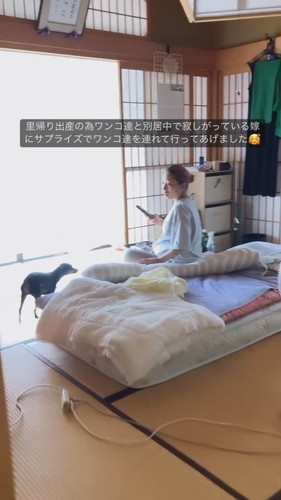 向かうミニチュアピンシャー