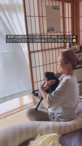 喜ぶミニチュアピンシャー