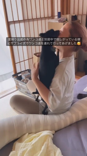 飛び跳ねるミニチュアピンシャー