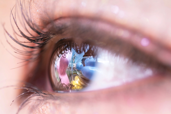 東京ディズニーリゾートの風景を瞳に閉じ込めた写真がすごい