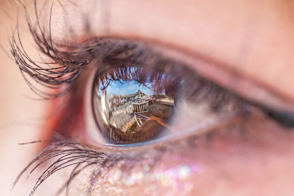 東京ディズニーリゾートの風景を瞳に閉じ込めた写真がすごい