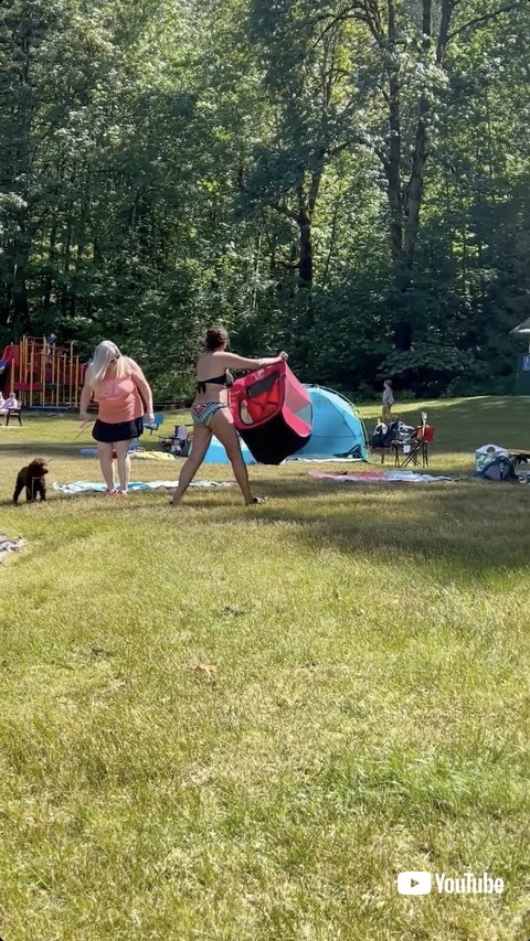 連れ去られるケージの中の犬