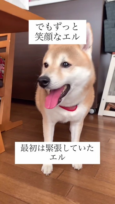 緊張していたエル