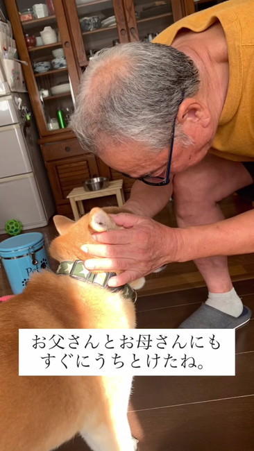 おとうさんとエル