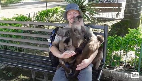 猿に包囲された男性