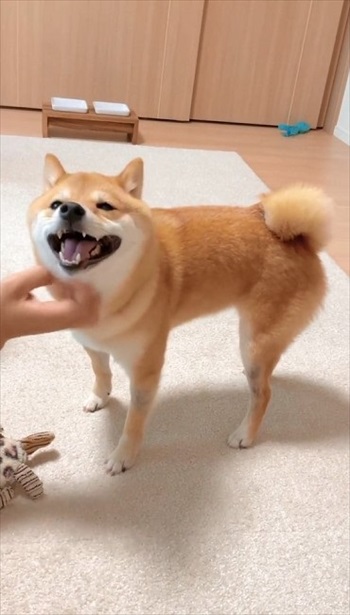 満面の笑みする顔