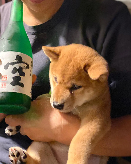 お迎え日の空くん