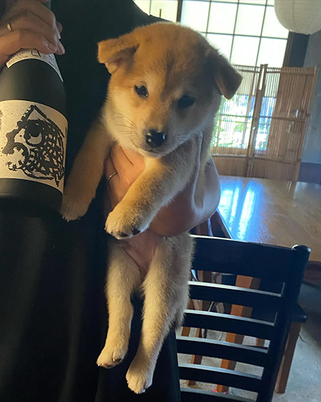 お迎え日の吟くん