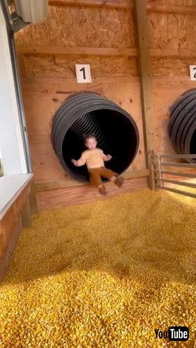 「Girl Going Down Slide Has Rough Landing in Corn || ViralHog」