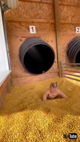 「Girl Going Down Slide Has Rough Landing in Corn || ViralHog」