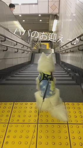 お迎えイチゴくん