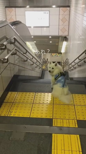 お迎えイチゴくん