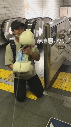 イチャイチャするスピッツとパパ