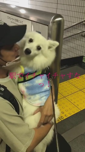 お迎えイチゴくん