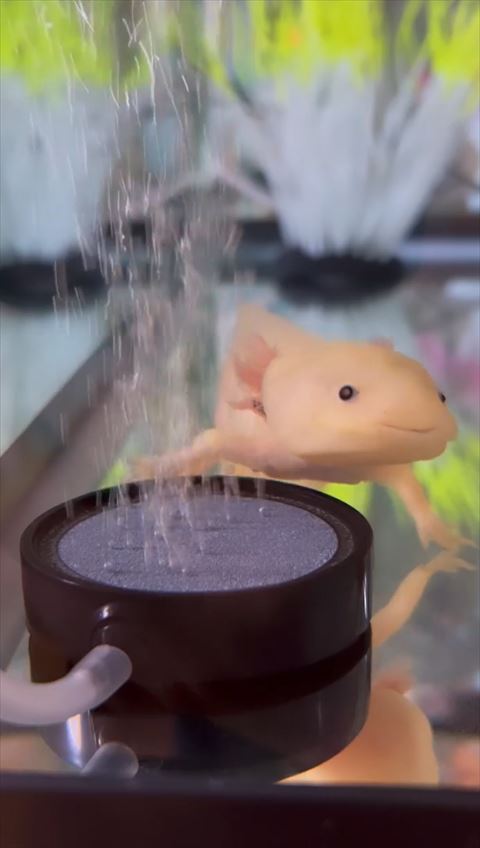 バブルから離れる