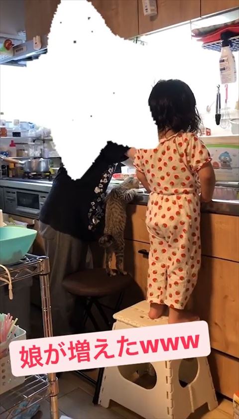 キッチンに並ぶ娘さんと子猫