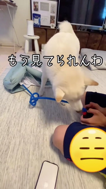 もう見てられん
