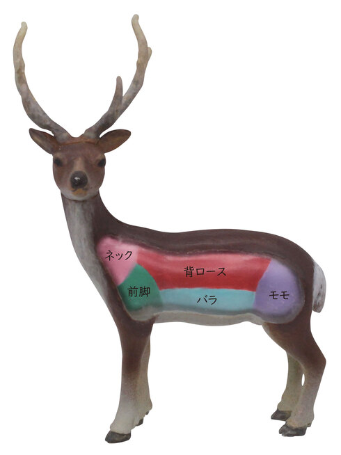 まるみえジビエ編01