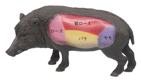 まるみえジビエ編04