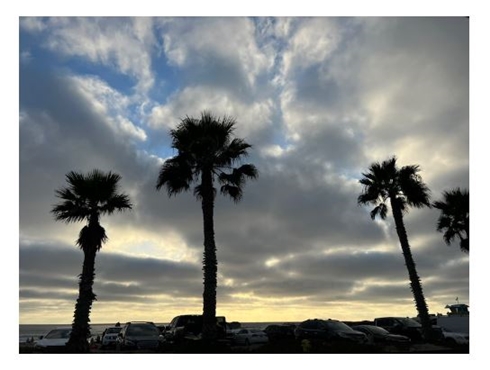 ダルビッシュ聖子の投稿