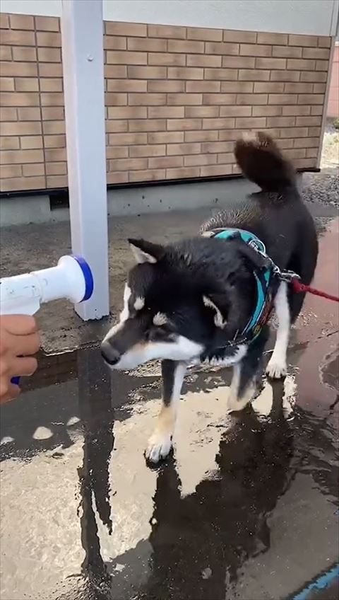 ホースをのぞきこむ