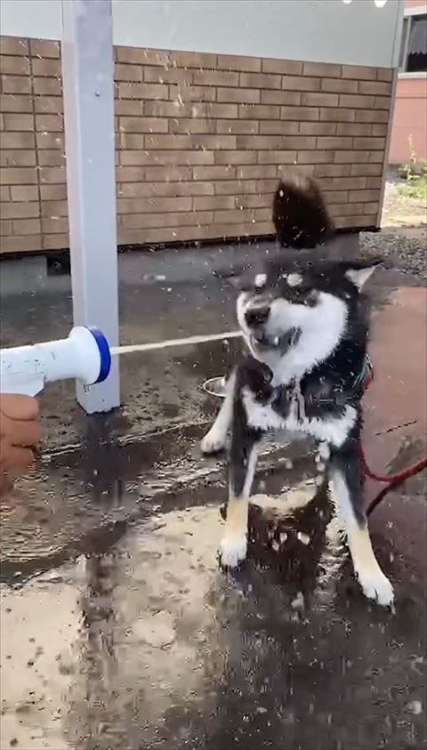 口をしめて水あびる
