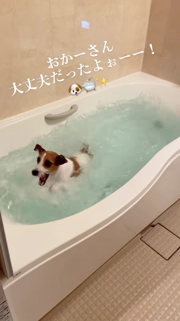 大丈夫だったよ