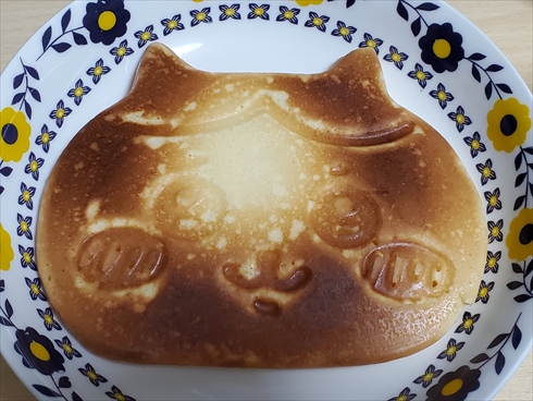 きれいなハチワレ01