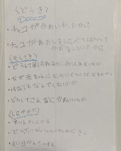愛犬の自由研究