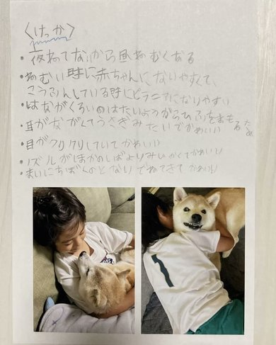 愛犬の自由研究