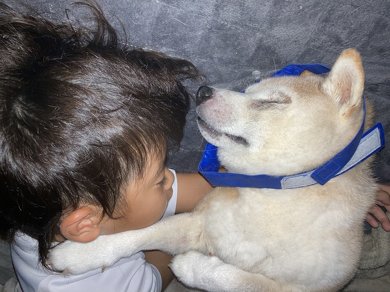 愛犬の自由研究