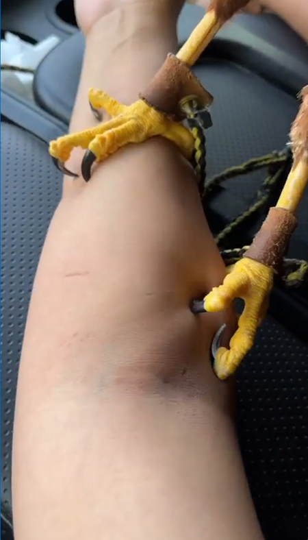 爪が刺さっているところ