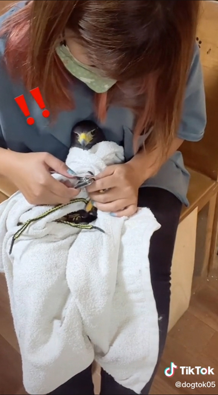 ！！なキールくん