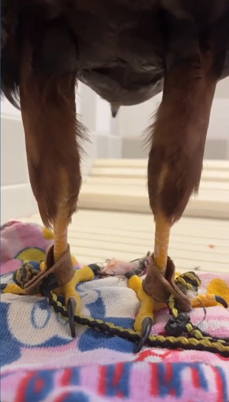 後ろから見たところ