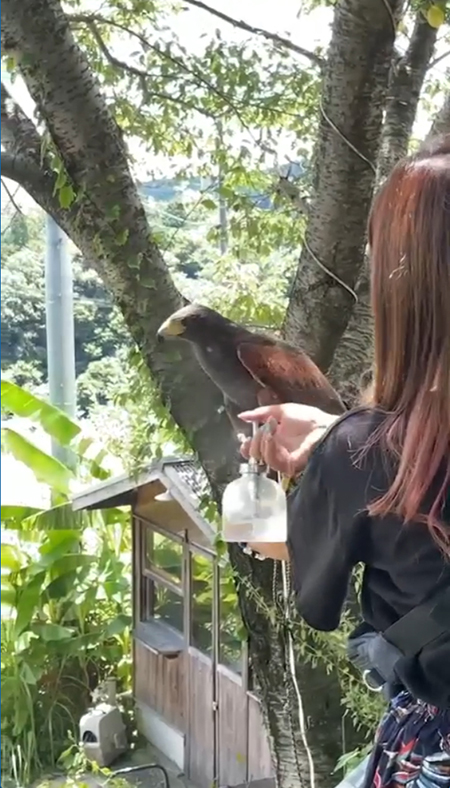 水浴びキールくん