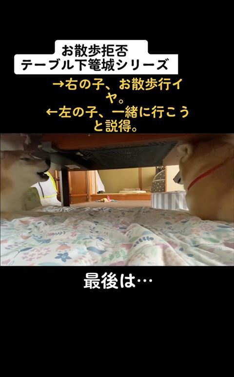 喋べるはなちゃん