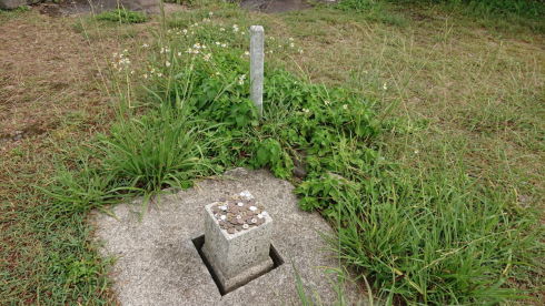 三角点におさい銭