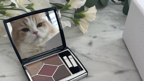 キメ顔こなつくん