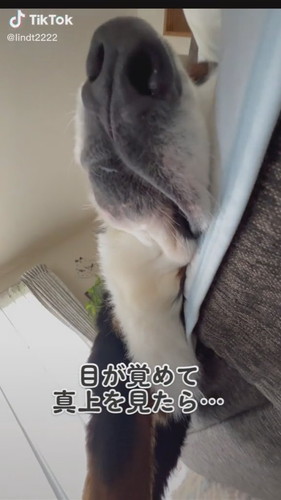 顔へカメラを向けると