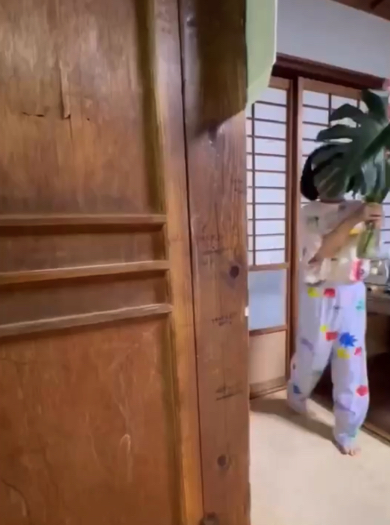 装飾の植物もチョイス