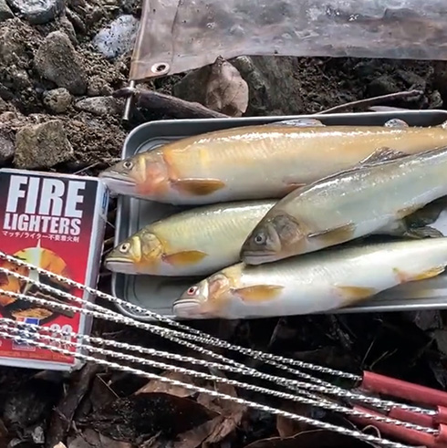 鮎に塩振って焼いて食うだけなのに最高においしそう　たき火動画が「ガチでおいそう」「鮎は塩焼きしか勝たん」と話題