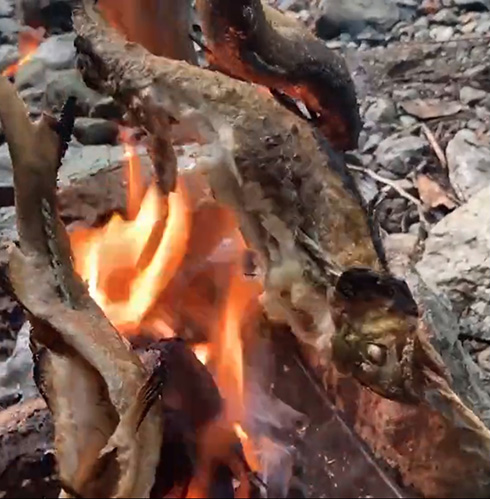 鮎に塩振って焼いて食うだけなのに最高においしそう　たき火動画が「ガチでおいそう」「鮎は塩焼きしか勝たん」と話題