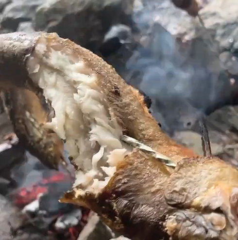 鮎に塩振って焼いて食うだけなのに最高においしそう　たき火動画が「ガチでおいそう」「鮎は塩焼きしか勝たん」と話題
