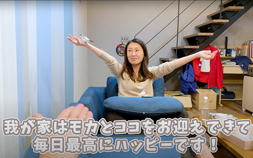 2羽の文鳥と暮らすと……