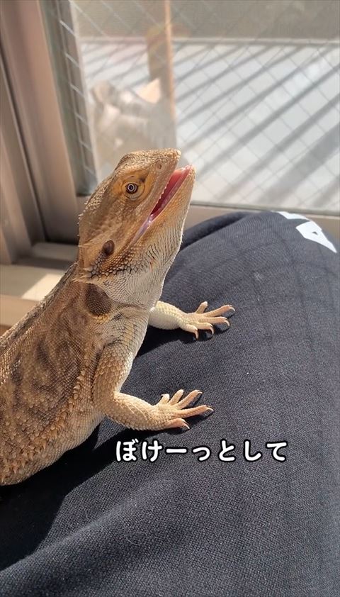 ぼーっとしてる
