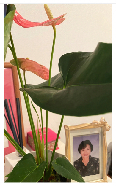 演歌歌手の藤あや子、母の命日でお墓参りへ