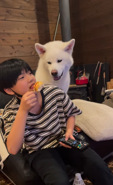 左下の方を見るこちろうくん