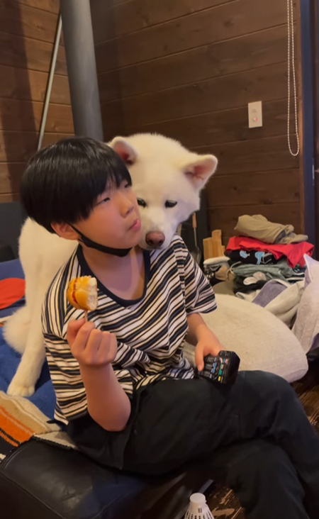 ちょっと切ない顔をするこちろうくん