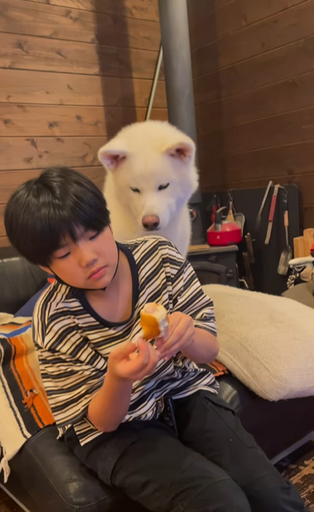 パンをちぎるところ